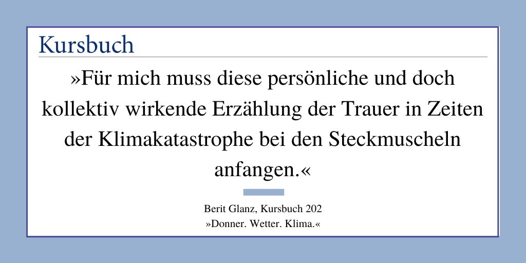 Read more about the article KursPod: Berit Glanz – Wo ist die Steckmuschel?